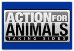 Action For Animals 