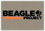 Beagle Freedom Project    